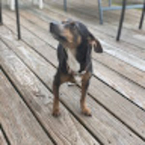 Meet your Posher, Kellie